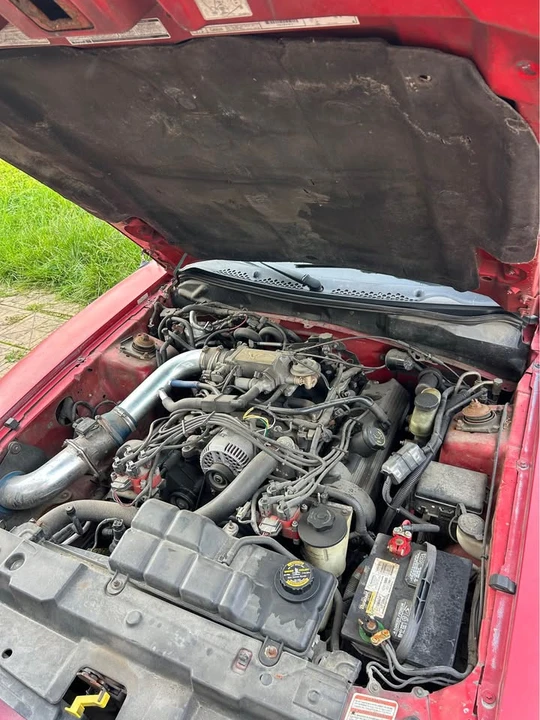 1997 Ford SN95 Mustang - Image 5 of 5