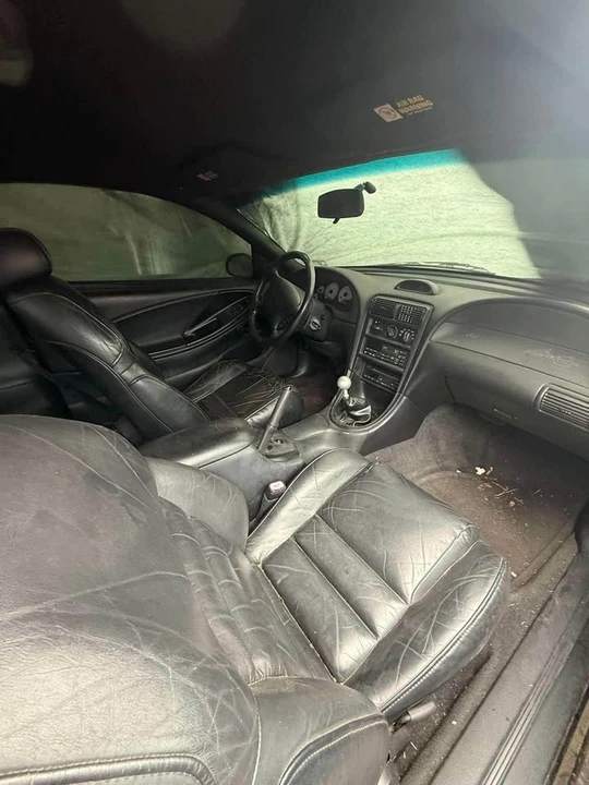 1997 Ford SN95 Mustang - Image 3 of 5