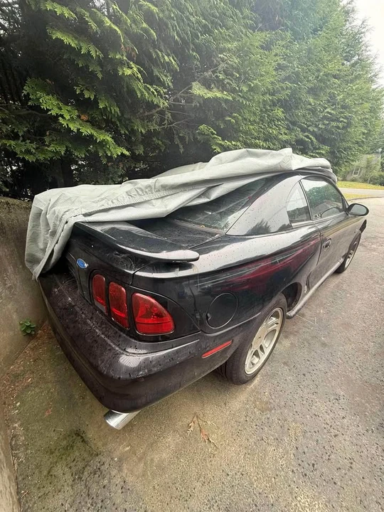 1997 Ford SN95 Mustang - Image 2 of 5