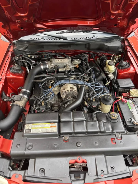 1997 Ford SN95 Mustang - Image 5 of 9