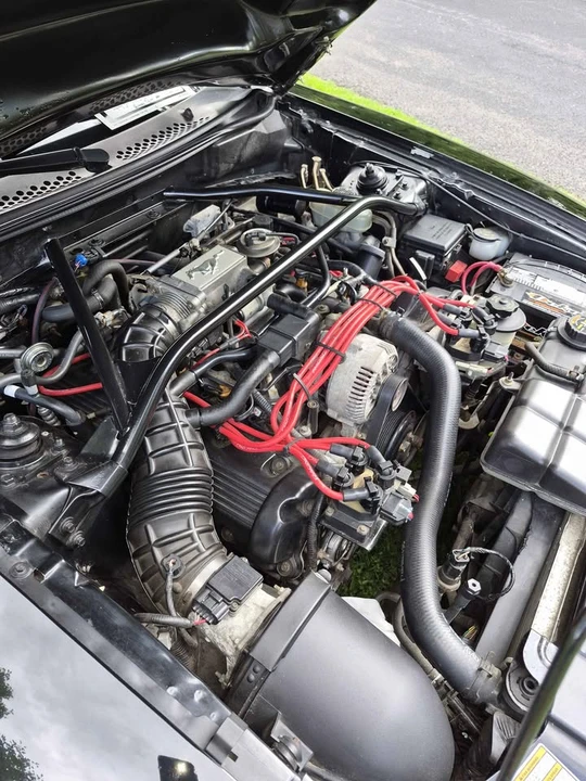 1997 Ford SN95 Mustang - Image 13 of 13