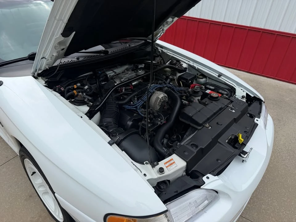 1997 Ford SN95 Mustang - Image 10 of 13