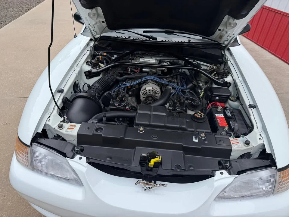 1997 Ford SN95 Mustang - Image 9 of 13
