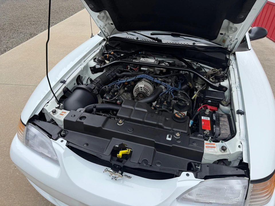 1997 Ford SN95 Mustang - Image 14 of 16