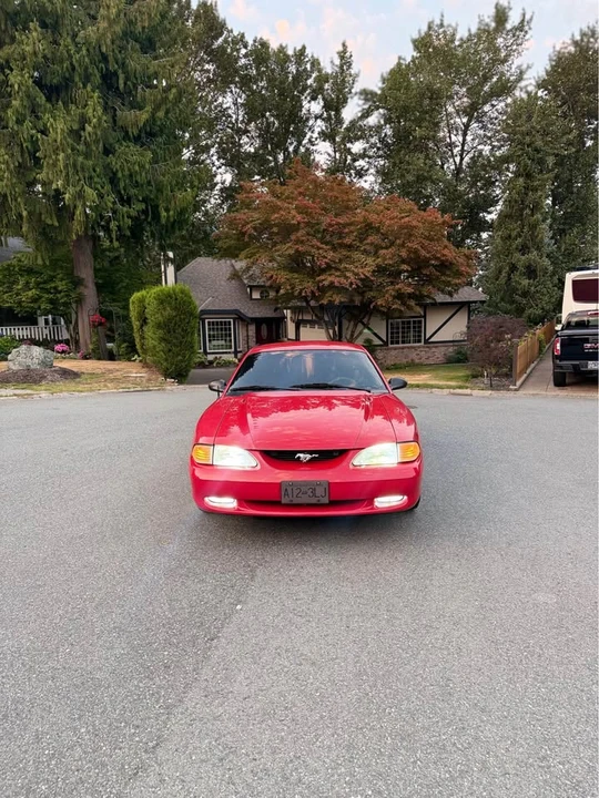 1997 Ford SN95 Mustang - Image 3 of 12