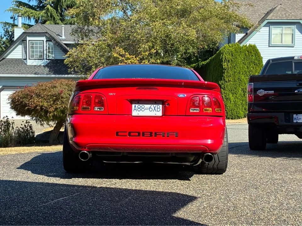 1997 Ford SN95 Mustang - Image 5 of 14