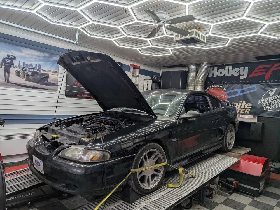 1997 Ford SN95 Mustang - Image 14 of 15