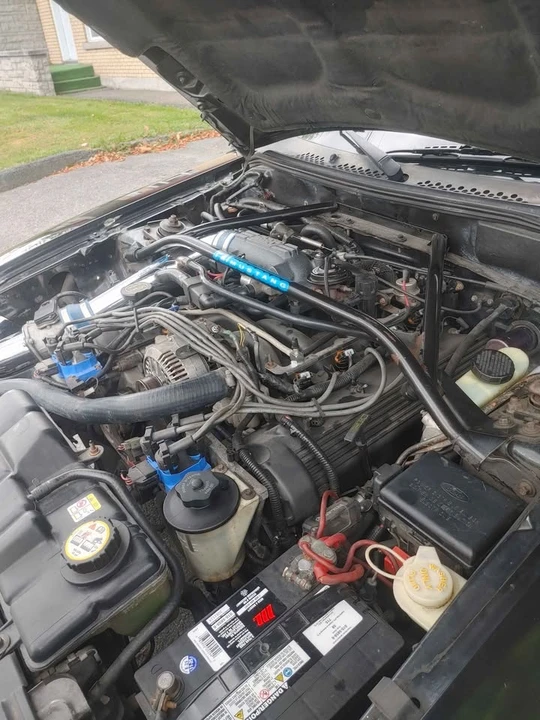 1997 Ford SN95 Mustang - Image 12 of 15