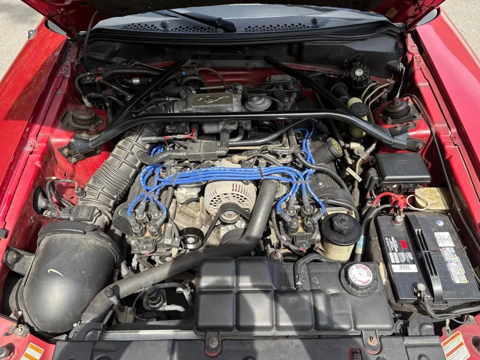 1997 Ford SN95 Mustang - Image 7 of 15