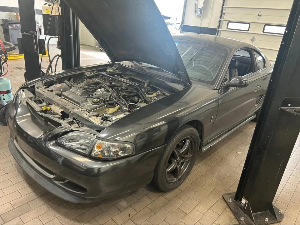 1997 Ford SN95 Mustang - Image 7 of 7