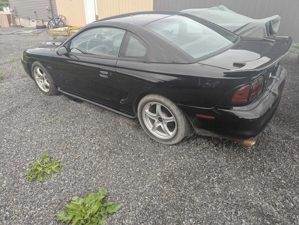 1997 Ford SN95 Mustang - Image 2 of 15