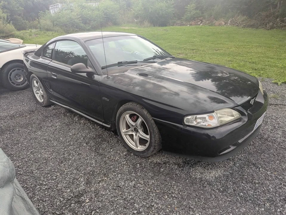 1997 Ford SN95 Mustang - Image 3 of 15