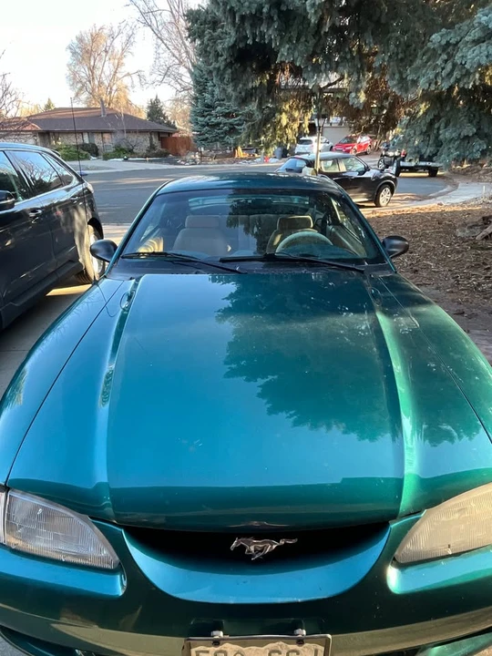 1997 Ford SN95 Mustang - Image 12 of 14