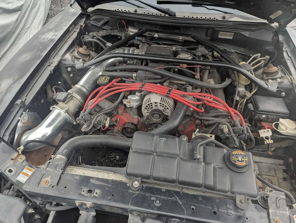 1997 Ford SN95 Mustang - Image 10 of 15