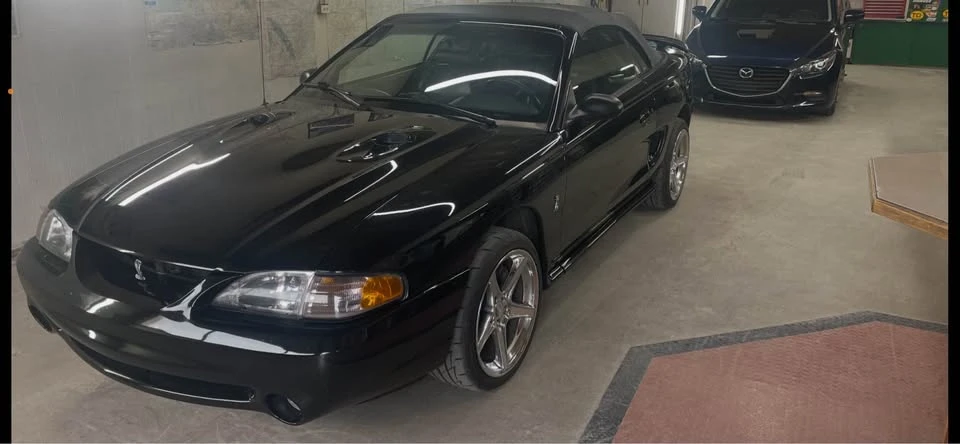 1997 Ford SN95 Mustang - Image 9 of 15