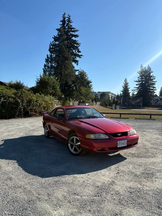 1997 Ford SN95 Mustang - Image 2 of 16