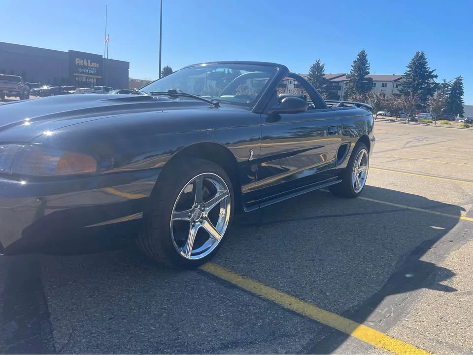 1997 Ford SN95 Mustang - Image 8 of 15