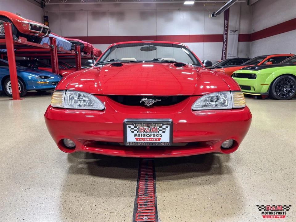 1997 Ford SN95 Mustang Cobra - Image 8 of 31