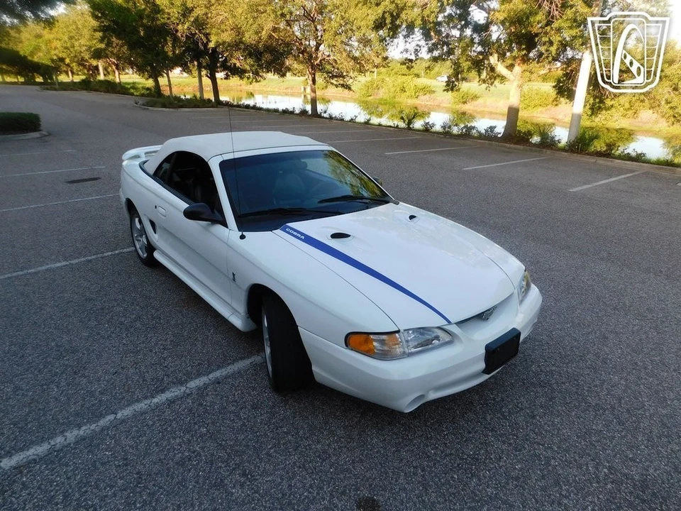 1997 Ford SN95 Mustang Cobra - Image 10 of 12