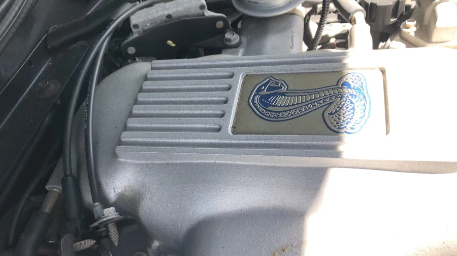 1997 Ford SN95 Mustang Cobra - Image 5 of 6