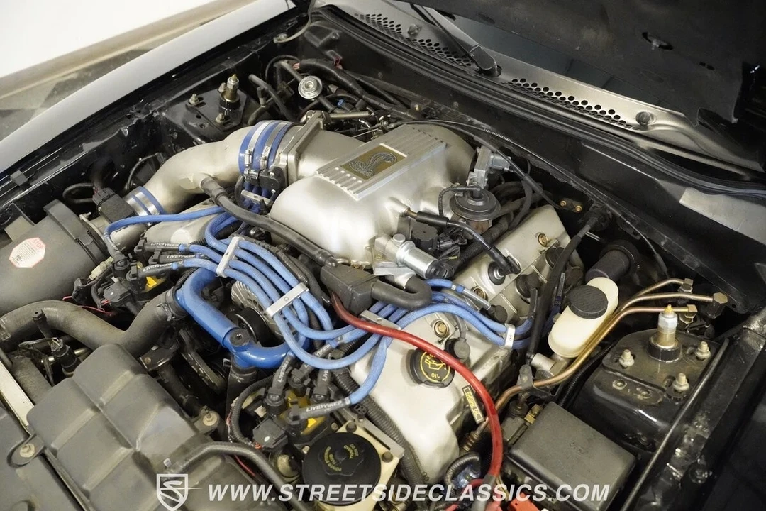 1997 Ford SN95 Mustang Cobra - Image 19 of 21