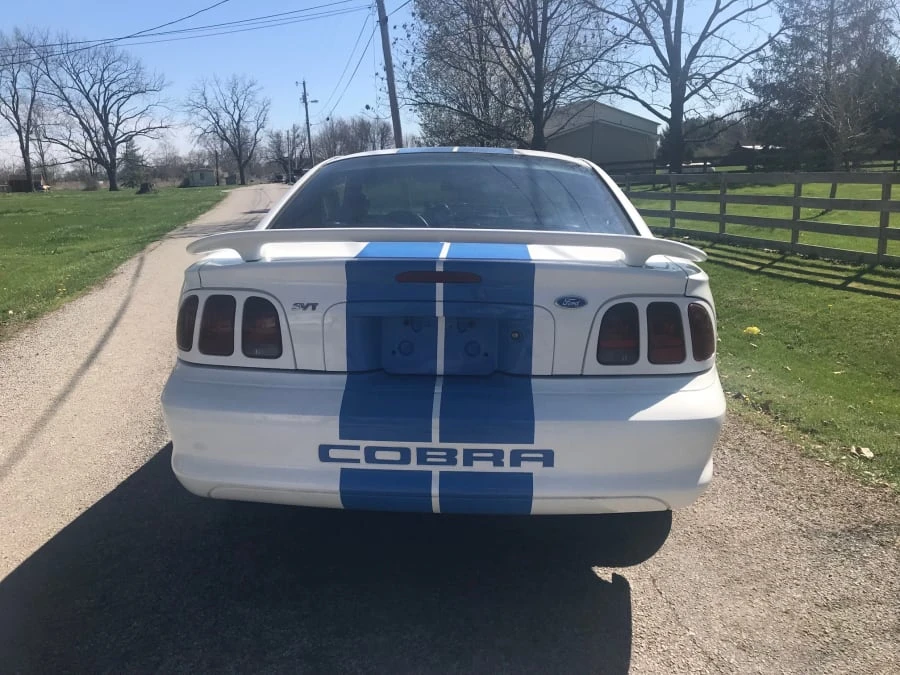 1997 Ford SN95 Mustang Cobra - Image 7 of 10