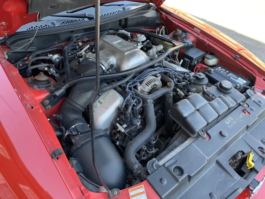 1997 Ford SN95 Mustang Cobra - Image 7 of 7