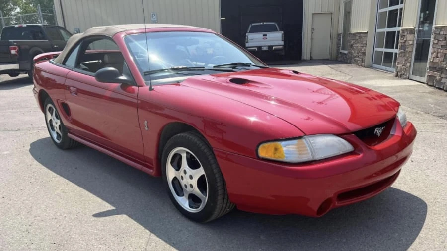 1997 Ford SN95 Mustang Cobra - Image 5 of 10