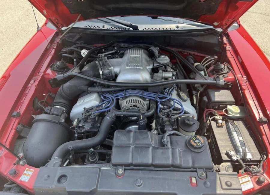 1997 Ford SN95 Mustang Cobra - Image 10 of 10
