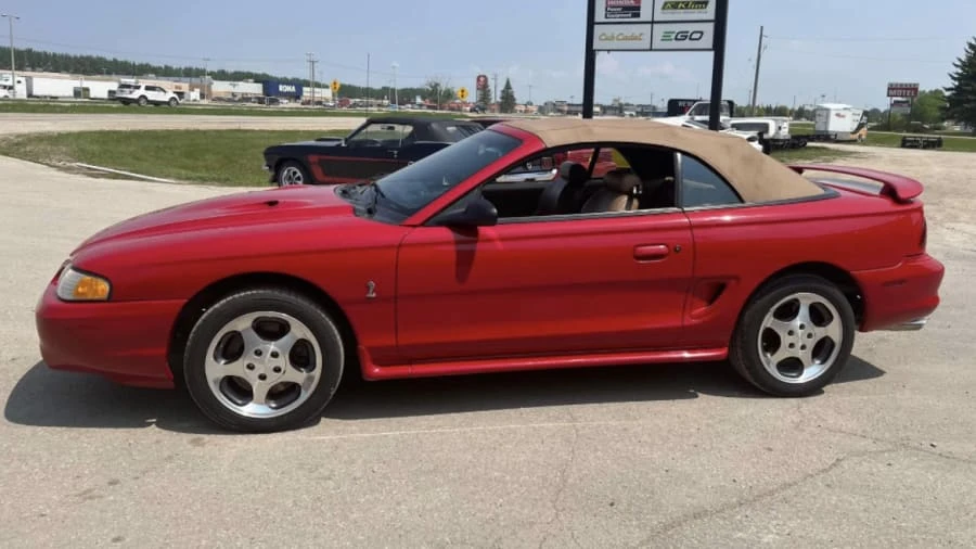1997 Ford SN95 Mustang Cobra - Image 6 of 10