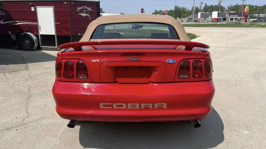 1997 Ford SN95 Mustang Cobra - Image 4 of 10
