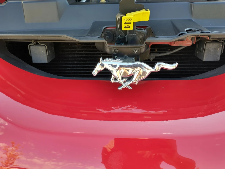 1997 Ford SN95 Mustang Cobra - Image 31 of 31