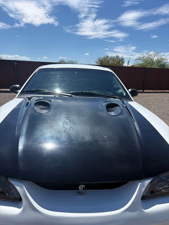 1997 Ford SN95 Mustang Cobra - Image 5 of 20