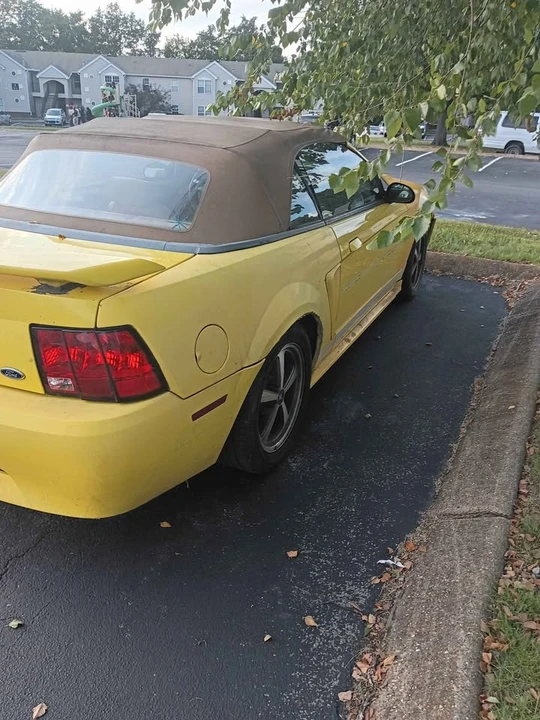 1997 Ford SN95 Mustang - Image 2 of 4