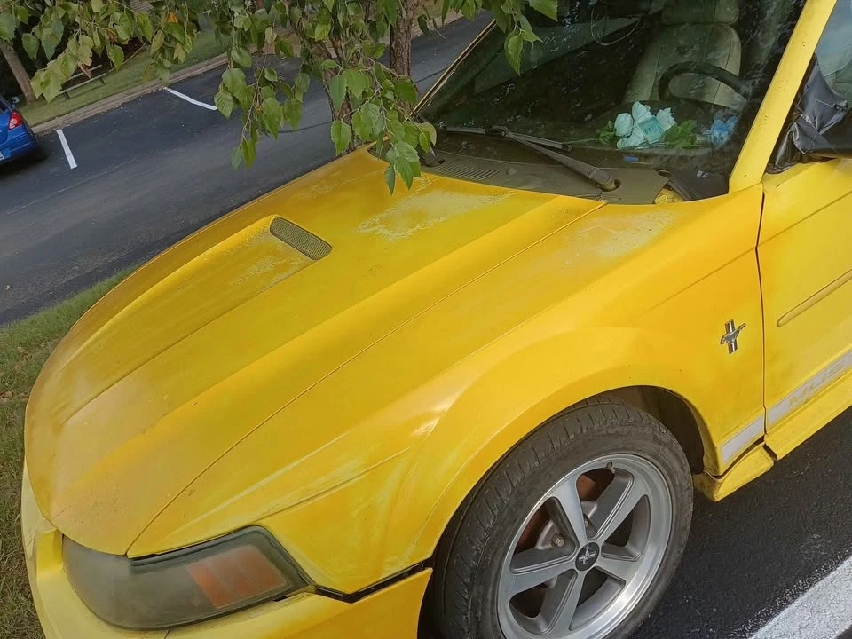 1997 Ford SN95 Mustang - Image 3 of 4