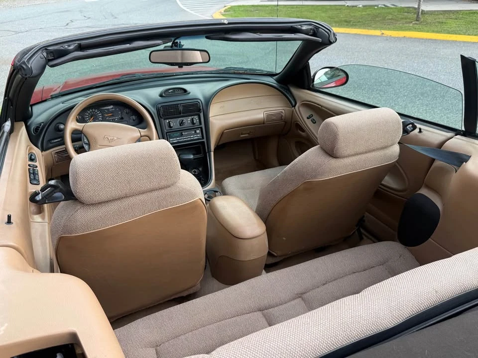 1997 Ford SN95 Mustang - Image 9 of 13