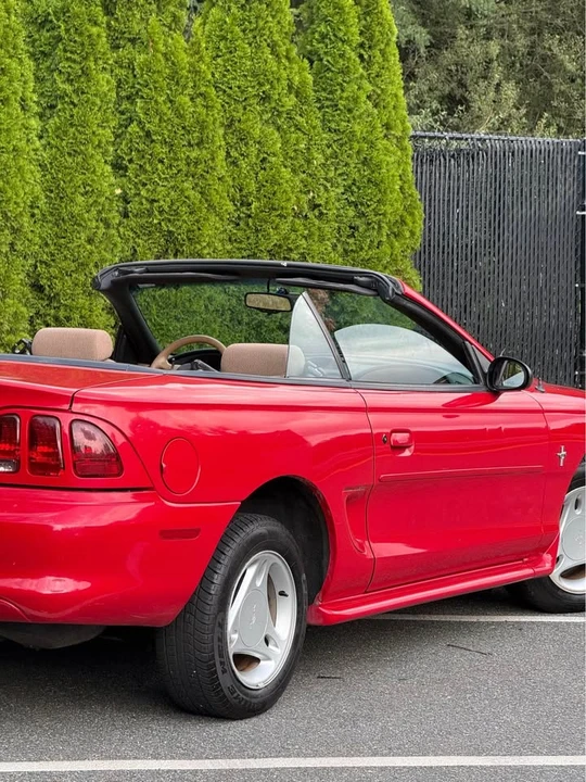 1997 Ford SN95 Mustang - Image 8 of 13