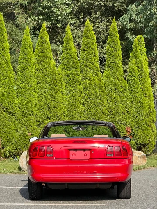 1997 Ford SN95 Mustang - Image 4 of 13