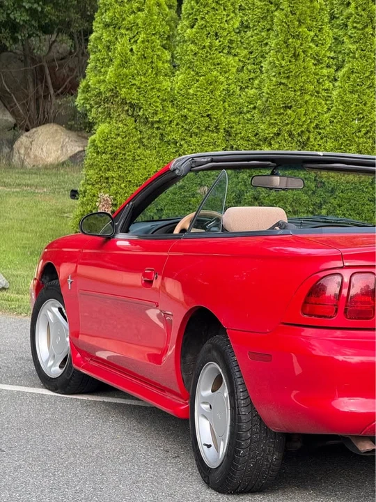 1997 Ford SN95 Mustang - Image 6 of 13