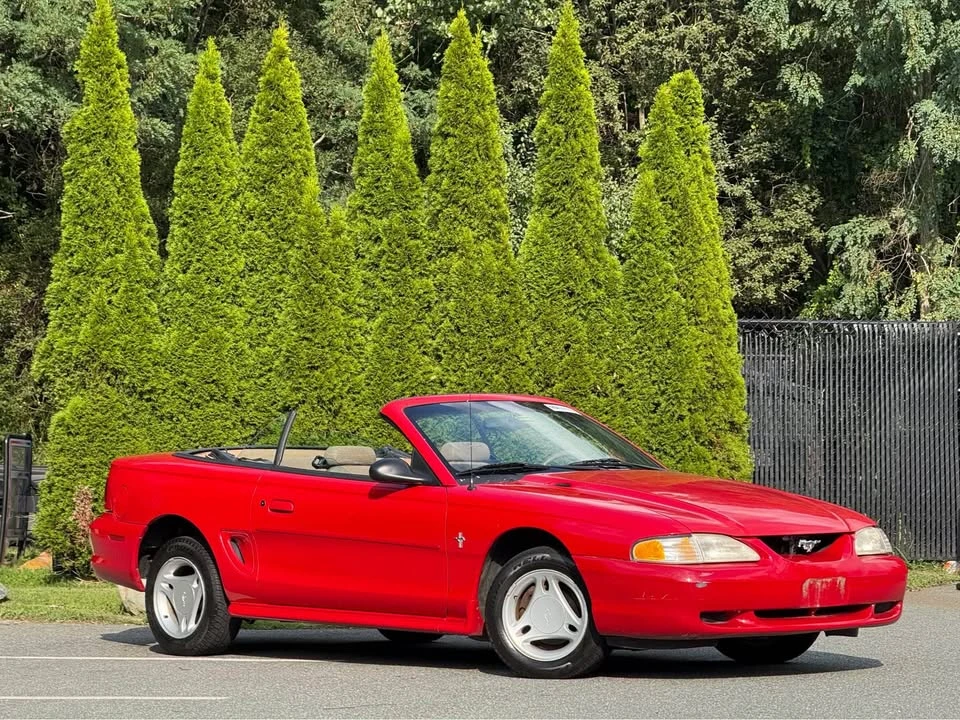 1997 Ford SN95 Mustang - Image 3 of 13