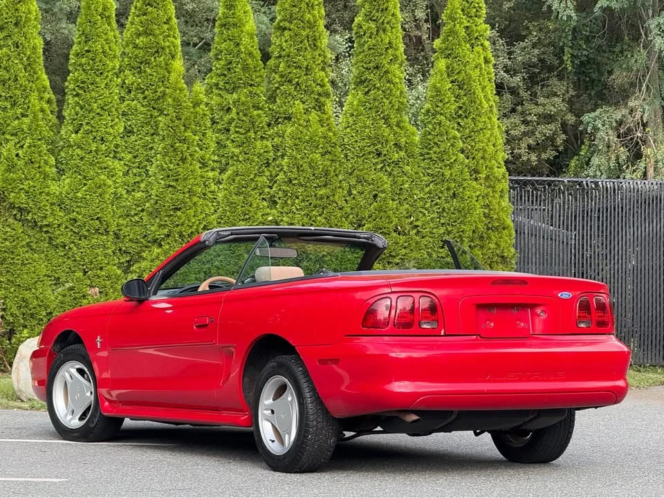 1997 Ford SN95 Mustang - Image 5 of 13