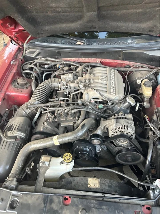 1997 Ford SN95 Mustang - Image 10 of 11