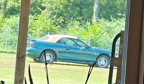 1997 Ford Mustang V6 Convertible 2D