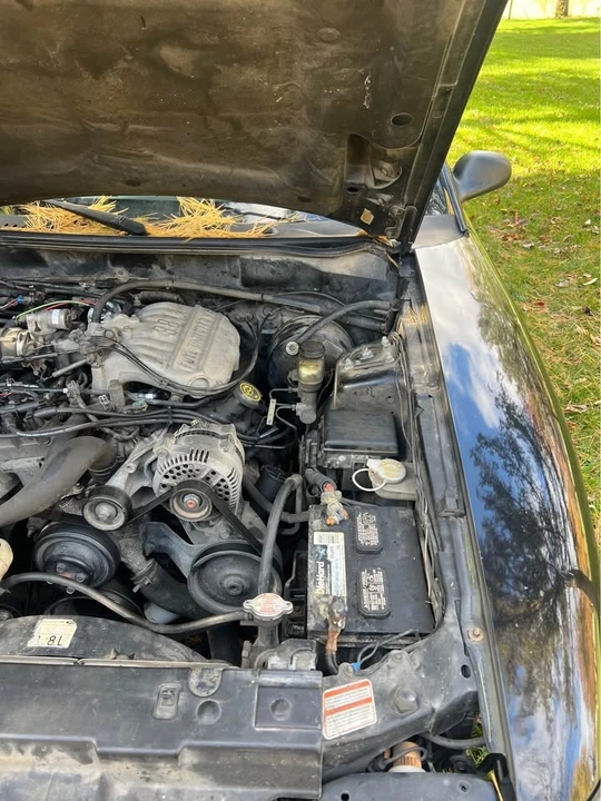 1997 Ford SN95 Mustang - Image 6 of 9