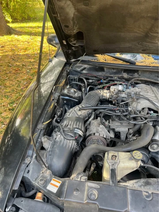 1997 Ford SN95 Mustang - Image 7 of 9