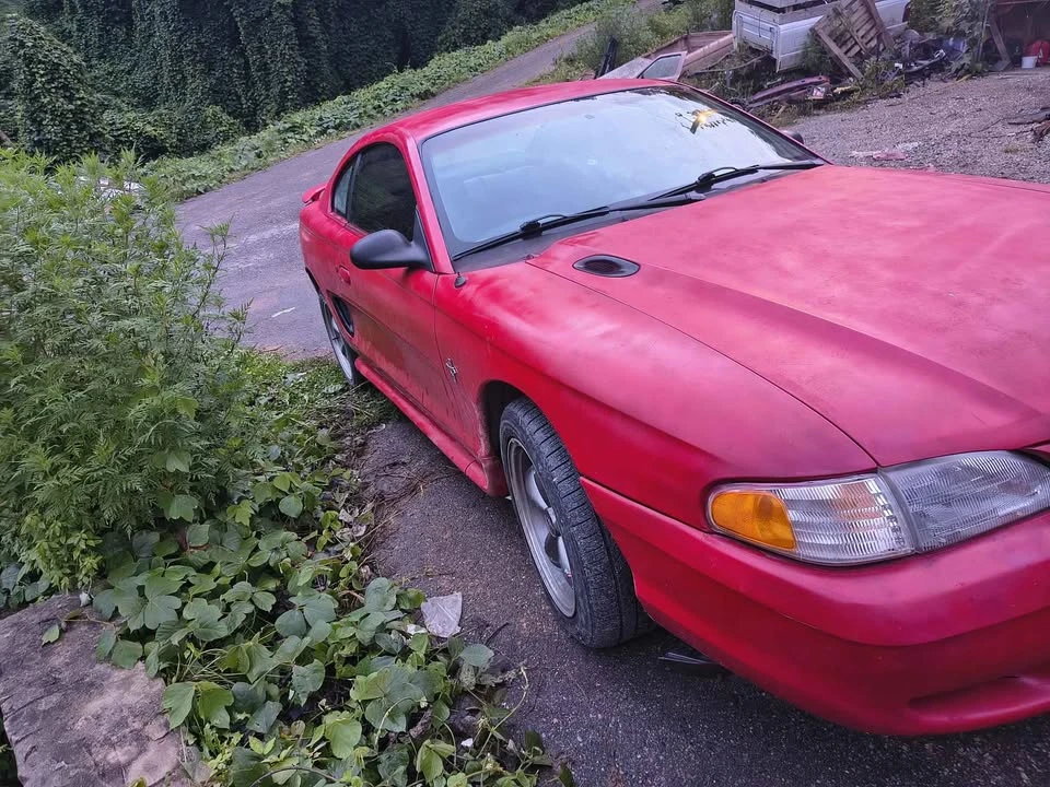 1997 Ford SN95 Mustang - Image 2 of 2