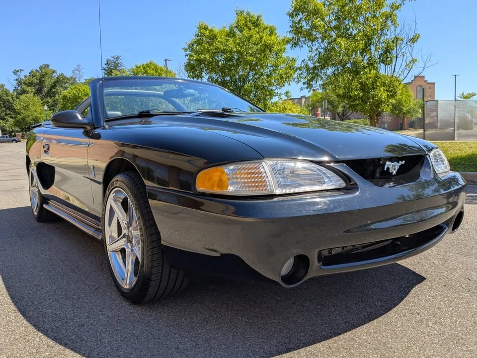 1997 Ford SN95 Mustang Cobra - Image 8 of 13