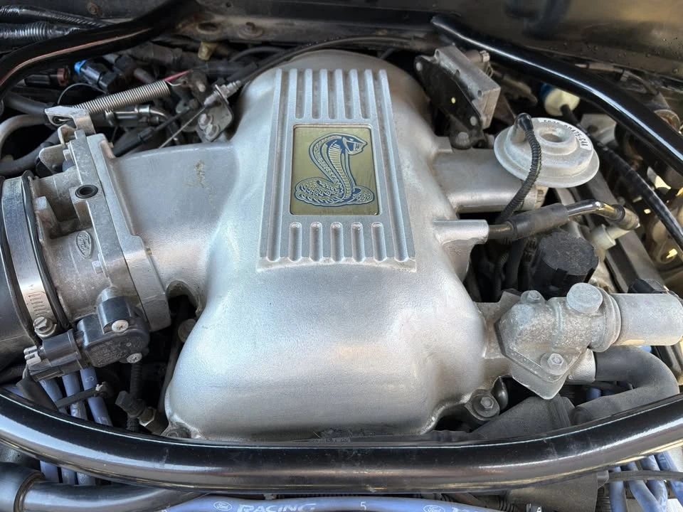 1997 Ford SN95 Mustang Cobra - Image 3 of 13