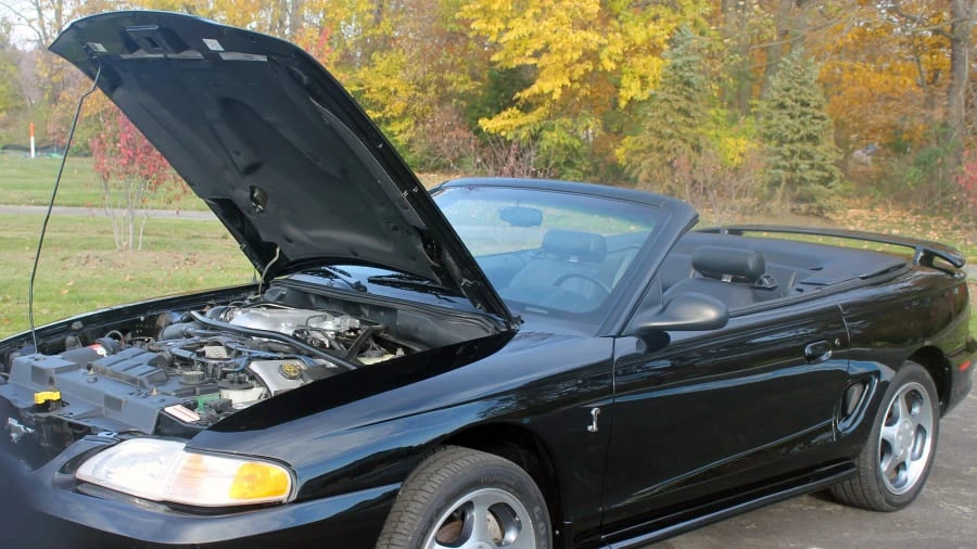 1997 Ford SN95 Mustang Cobra - Image 3 of 5