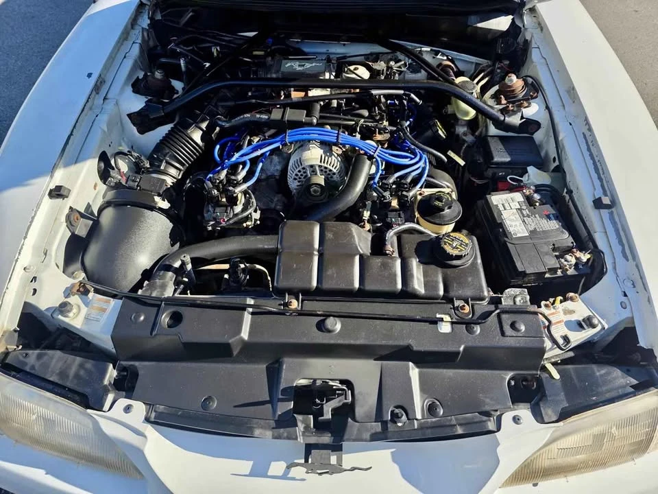 1997 Ford GT - Image 12 of 12